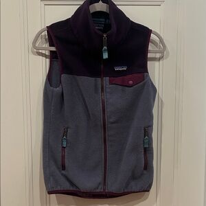 Patagonia synchilla vest
